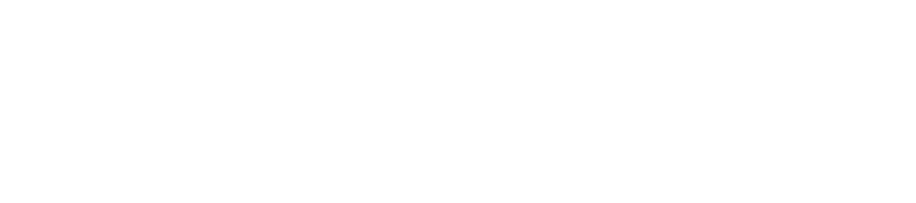 CATALIS LOGO2 catalis